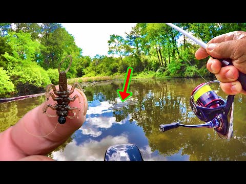 Видео: Вы можете ловить Шеллкрекера за Шеллкрекером ВЕСЬ ДЕНЬ, делая ЭТО!!!