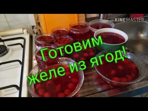Видео: Желе из ягод!Простой рецепт!Ответ каналу Жизнь наизнанку!)