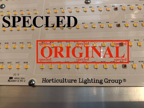 Видео: Где купить оригинальные Quantum Board 288 из США (HLG)? Или битва бордов часть 2.