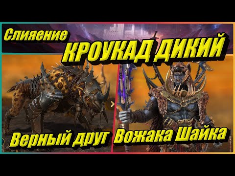 Видео: КРОУКАД ДИКИЙ - Верный друг Вожака Шайка *** Слияние в RAID: Shadow Legends