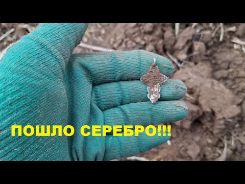 Видео: Шмурдкоптрест. Выпуск N60 "Серебро радует"