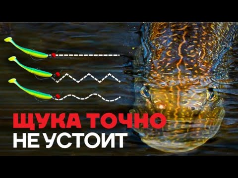 Видео: ТОП 5 ДЖИГОВЫХ проводок и анимаций на ЩУКУ! Как ловить ЩУКУ на СПИННИНГ? Спиннинг 2021