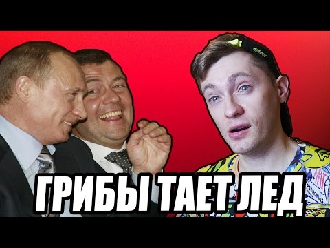 Видео: ТАЕТ ЛЁД Голосами Политиков (Грибы) РЕАКЦИЯ