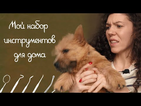 Видео: Мастерская дома : при помощи каких инструментов слепить что угодно.