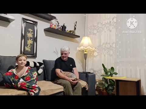 Видео: 2346. Кто ХОЧЕТ на ЮГ? 🏝️🤗СИБИРЬ. Мы ДОМА.