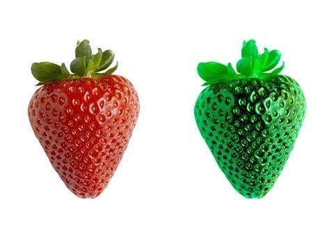 Видео: Похож ли ваш красный на мой красный?(Vsauce на русском)