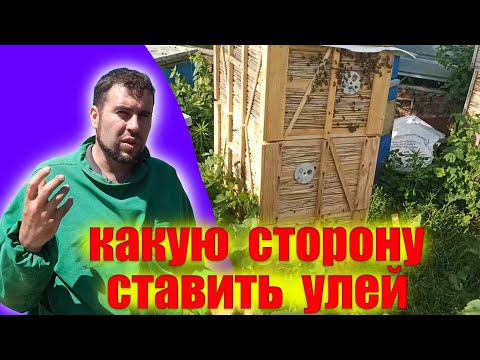 Видео: В какую сторону летком ставить улей на пасеке. Отбраковка старой суши и подсадка маток