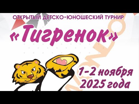 Видео: ДЕНЬ 2, КОРТ 3 | Открытый детско-юношеский турнир "Тигренок"