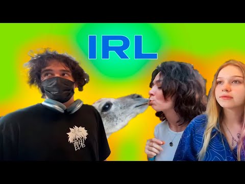 Видео: IRL МОРФИ С КОРЕЙ  РОСТИКОМ И ХЕЛИНОМ