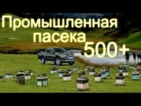 Видео: Промышленная пасека Белоруси в 500 семей /часть 2