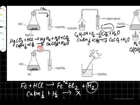 Видео: Хими ЭЕШ 2023 В ХУВИЛБАР 23- 27