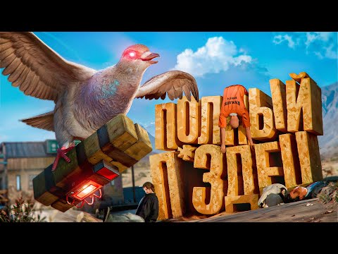 Видео: ЧИТЕР В СКИНЕ ГОЛУБЯ ВОРУЕТ ЛЮДЕЙ - GTA 5 RP