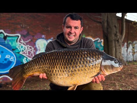 Видео: Дневник Уорфа, ловля карпа в центре Кардиффа 🏴󠁧󠁢󠁷󠁬󠁳󠁿 Уэльс