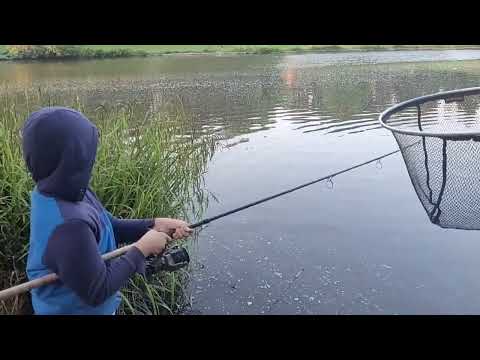 Видео: первый карп на сегодня/first carp for today 🐟😎😎😎