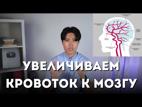 Видео: Эти упражнения УВЕЛИЧАТ КРОВОТОК к мозгу в несколько раз