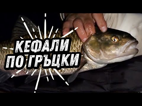 Видео: КЕФАЛИ по ГРЪЦКИ / Как да ги примамим с бели червеи?