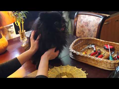 Видео: Русская ива.14 урок. Соединение донышка со стойками корзины.