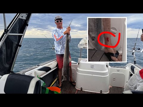 Видео: Счастливый рыбак EP146 Акулья «сыпь» и многое другое