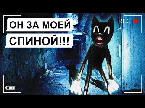 Видео: На меня напал CARTOON CAT!!! (Картун Кэт) / переписка Паши