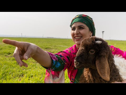 Видео: Катмер рецепт простой способ | деревенская еда