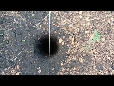 Видео: Бюджетный забор из оцинкованной сетки.