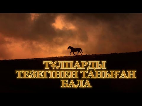 Видео: ТҰЛПАРДЫ ТЕЗЕГІНЕН ТАНИТЫН ҚАНАЙ СЫНШЫ (аңыз)