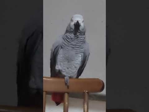 Видео: А сегодня я - мамуня!