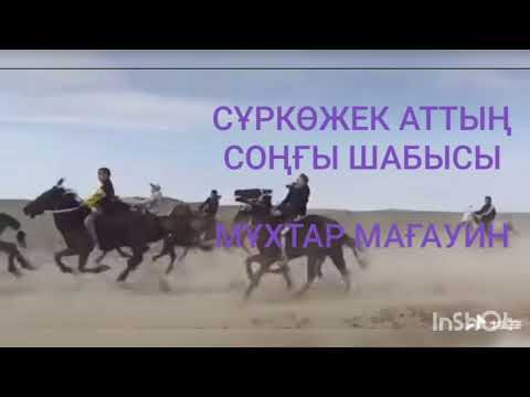Видео: СҰРКӨЖЕК АТТЫҢ СОҢҒЫ ШАБЫСЫ | МҰХТАР МАҒАУИН | ӘҢГІМЕ