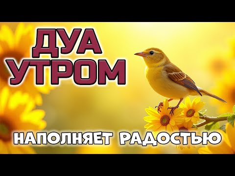 Видео: ДУА, КОТОРЫЕ НАПОЛНЯТ ТЕБЯ СЧАСТЬЕМ! 😊✨