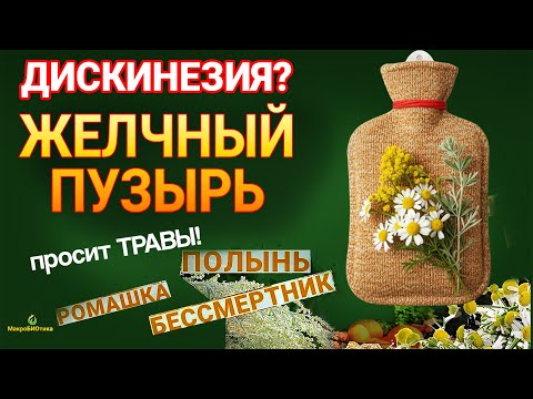 Видео: ДИСКИНЕЗИЯ? 🚨 ЖЕЛЧНЫЙ ПУЗЫРЬ просит ТРАВЫ! 💚 Ромашка, Полынь Бессмертник и Грелка: Народный Опыт