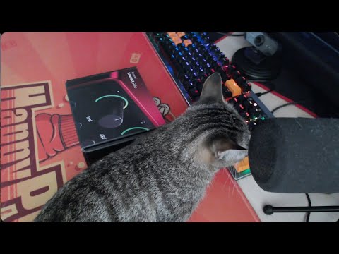 Видео: Распаковка звуковой карты Focusrite Scarlett Solo, первая съёмка на веб-камеру Logitech StreamCam.