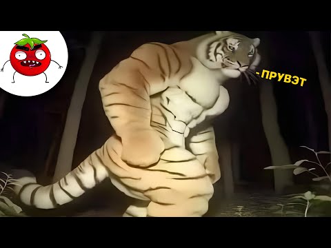 Видео: ЗАСМЕЯЛСЯ ПОДПИСАЛСЯ | Тест на Психику Челендж | ЛУЧШИЕ ПРИКОЛЫ 2025 года | УГАР #151