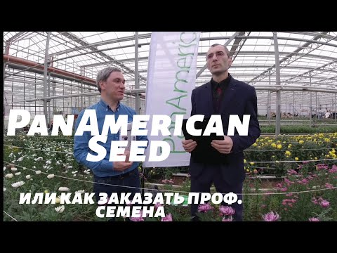 Видео: Как заказать проф. семена PanAmeriсan Seed. Интервью с представителем