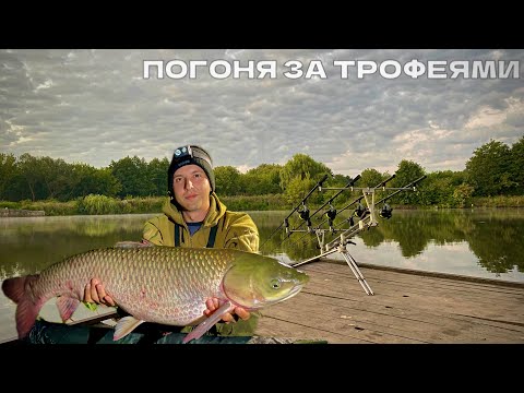 Видео: Ловля Коропа та Амура на озері Підкова / Як ловити рибу, коли вона не клює / Рибалка з ночівлею