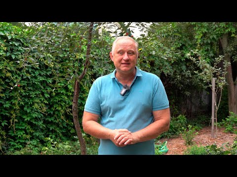 Видео: «В гостях уДачи». Виталий Тесленко