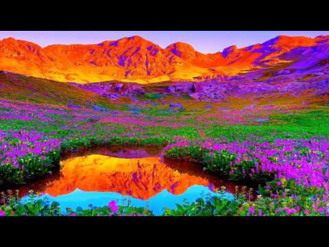 Видео: Супер! Только послушайте...Поль Мориа #Музыка