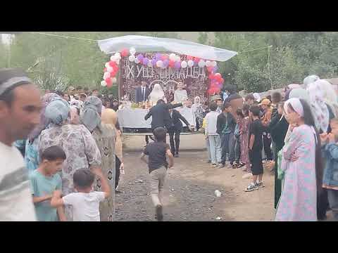 Видео: туи Лахш{Чиргатол}