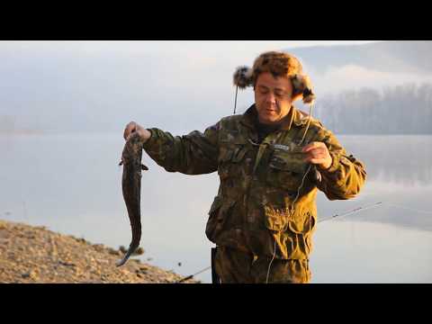 Видео: 🎣Ловля налима в черте города (Республика Хакасия, Абакан)🎣