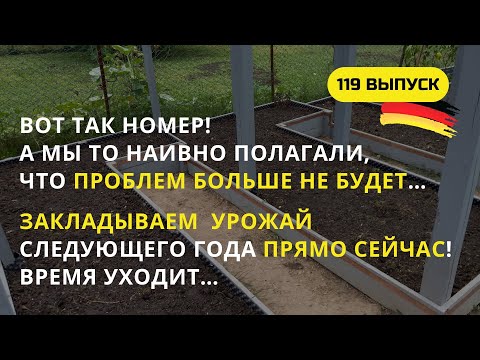 Видео: Дача в Германии. Спешим с осенними работами! Проблемы сыпятся со всех сторон, еле успеваем их решать