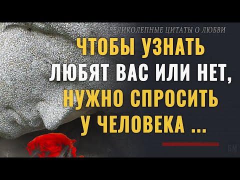Видео: Великолепные Цитаты о Любви, которые не оставят Вас равнодушными  Афоризмы, мудрые мысли