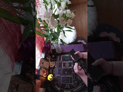 Видео: 🤔 ЧЕГО ВЫ НЕ ЗНАЕТЕ О НЁМ ⁉️