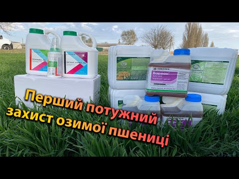 Видео: Перше внесення ЗЗР на озиму пшеницю 2025 рік з допомогою @agricultural.channel