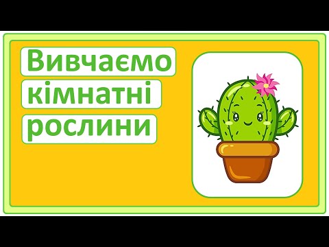 Видео: Вивчаємо кімнатні рослини | Я досліджую світ