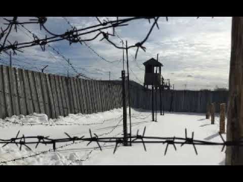 Видео: Аннушка.. (Протоиерей Василий Хадыкин)