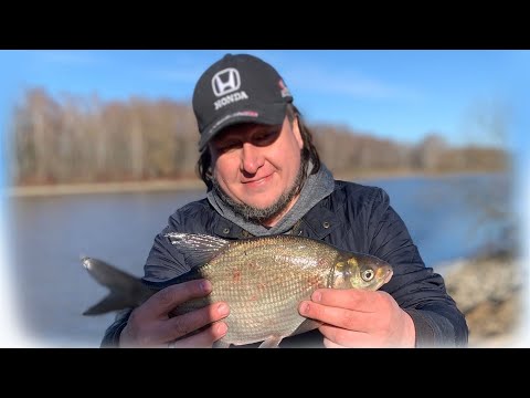 Видео: Труба, Рыбалка на канале имени Москвы, Весна, Фидер, Лещ, Драчёво ))
