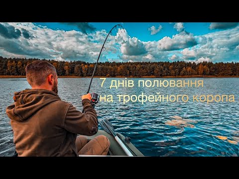 Видео: 7 днів полювання на трофейного коропа