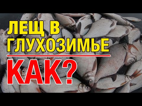 Видео: Как наловить МНОГО ЛЕЩА в глухозимье!