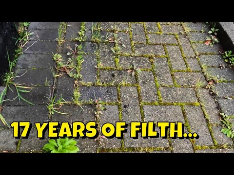Видео: «Не могли бы вы это почистить? Мы совершили ошибку!» Мойка под давлением грязной брусчатки и патио!