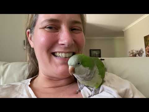 Видео: Спасибо 6000+ подписчикам — Догоняйте! Привет!