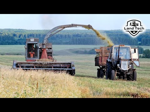 Видео: Ещё в строю - комбайн КСК-100А с двигателем СМД! Заготовка кормов в засуху!